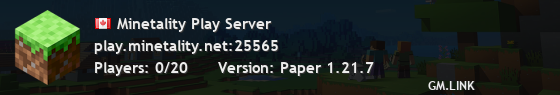 Minetality Play Server