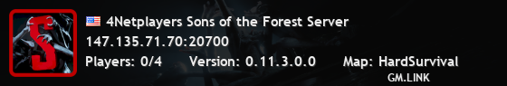 4Netplayers Sons of the Forest Server