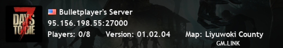 Bulletplayer's Server