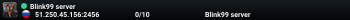 Blink99 server