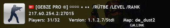 [GEBZE PRO ®] ︻デ═一 • ••  /RÜTBE /LEVEL /RANK