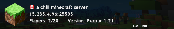 a chill minecraft server