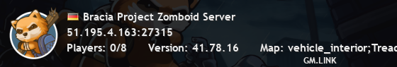 Bracia Project Zomboid Server