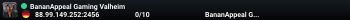 BananAppeal Gaming Valheim