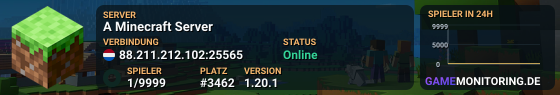 A Minecraft Server