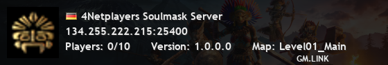 4Netplayers Soulmask Server