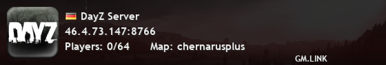 DayZ Server