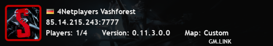 4Netplayers Vashforest