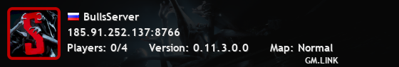 BullsServer