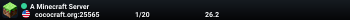 A Minecraft Server