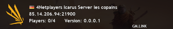 4Netplayers Icarus Server les copains