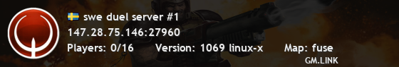 swe duel server #1
