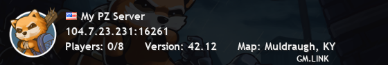 My PZ Server