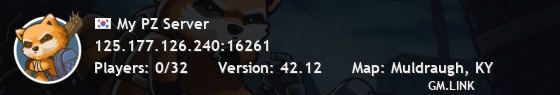 My PZ Server
