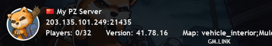 My PZ Server
