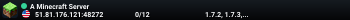 A Minecraft Server