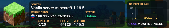 Vanila server minecraft 1.16.5