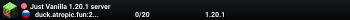 Just Vanilla 1.20.1 server