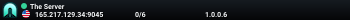 The Server