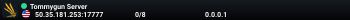 Tommygun Server