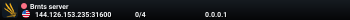 Brnts server
