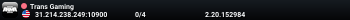 Trans Gaming