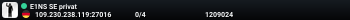 E1NS SE privat