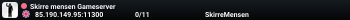 Skirre mensen Gameserver
