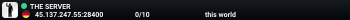 THE SERVER