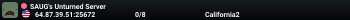 SAUG's Unturned Server