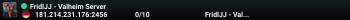 FridlJJ - Valheim Server