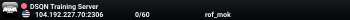 DSQN Training Server
