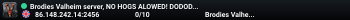 Brodies Valheim server, NO HOGS ALOWED! DODODODODODO