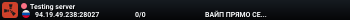 Testing server