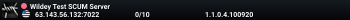 Wildey Test SCUM Server