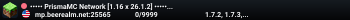 BEEREALM NETWORK [1.20/1.21+] GRAN APERTURA DE SURVIVAL