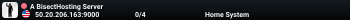 A BisectHosting Server
