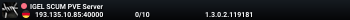 IGEL SCUM PVE Server