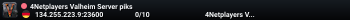 4Netplayers Valheim Server piks
