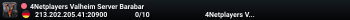 4Netplayers Valheim Server Barabar