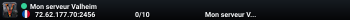 Mon serveur Valheim