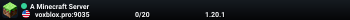 A Minecraft Server