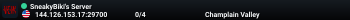 SneakyBiki's Server