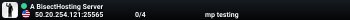 A BisectHosting Server