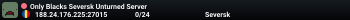 Only Blacks Seversk Unturned Server