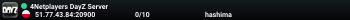 4Netplayers DayZ Server