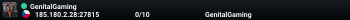 GenitalGaming