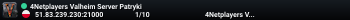 4Netplayers Valheim Server Patryki