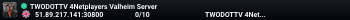 TWODOTTV 4Netplayers Valheim Server