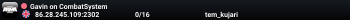 Gavin on CombatSystem